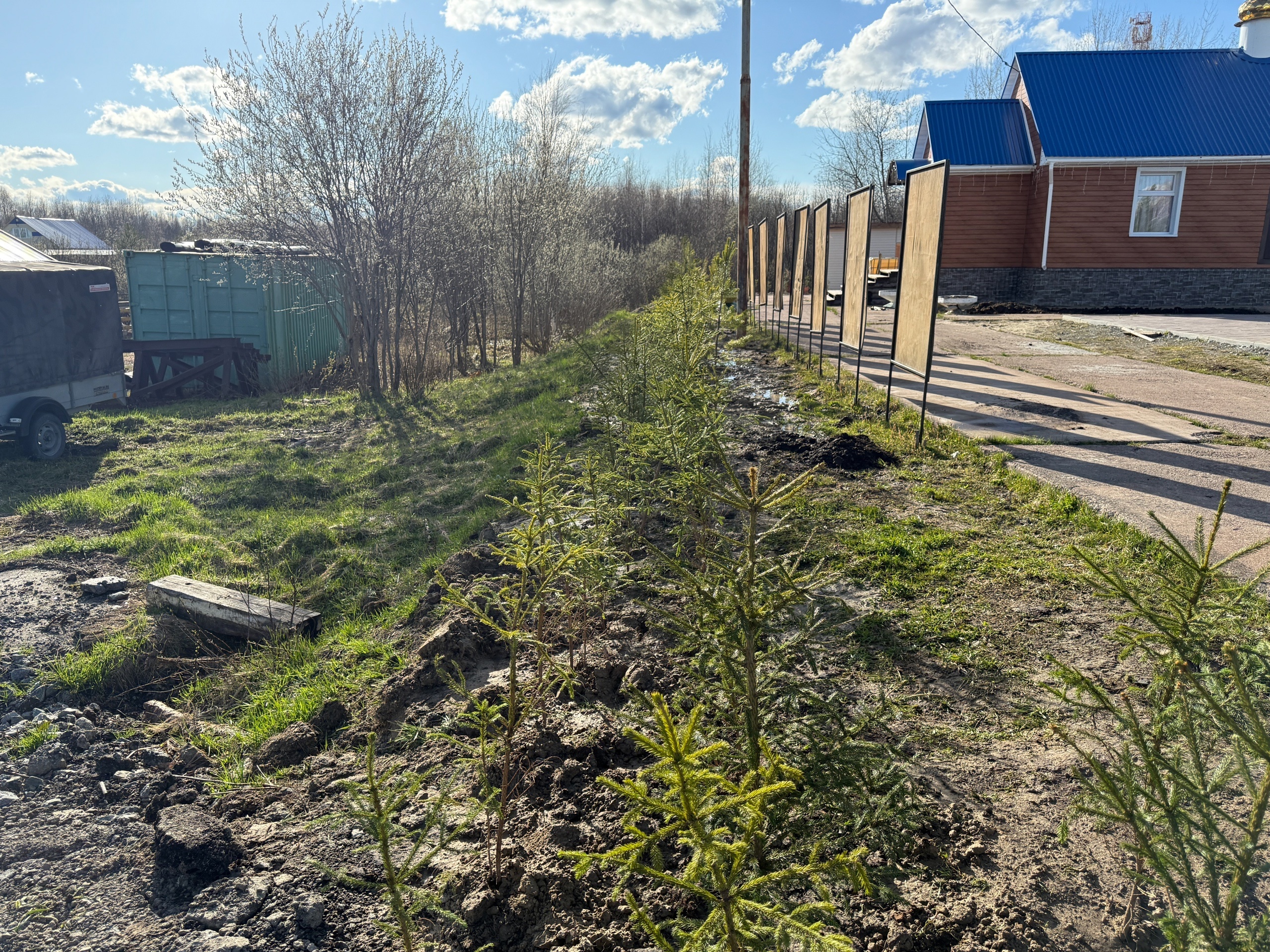 Акция «Живая изгородь».